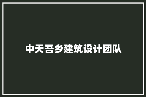 中天吾乡建筑设计团队