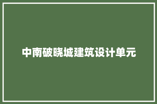 中南破晓城建筑设计单元 施工工艺