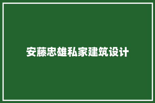 安藤忠雄私家建筑设计 施工管理