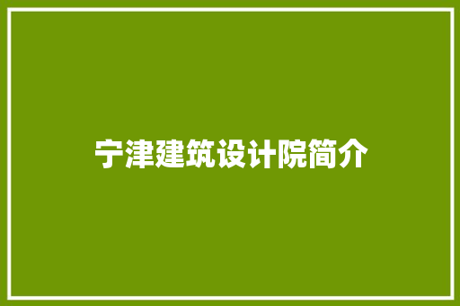 宁津建筑设计院简介