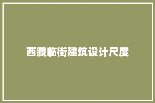 西藏临街建筑设计尺度