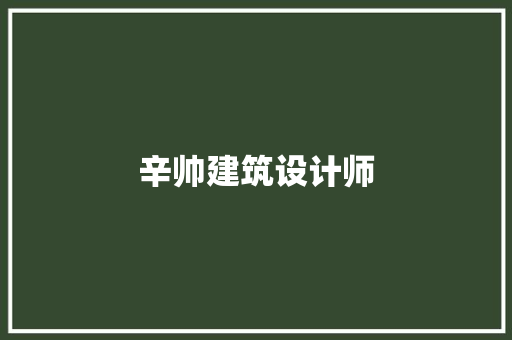 辛帅建筑设计师