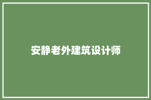 安静老外建筑设计师 工艺流程