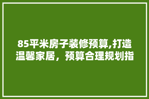 85平米房子装修预算,打造温馨家居，预算合理规划指南 材料设备