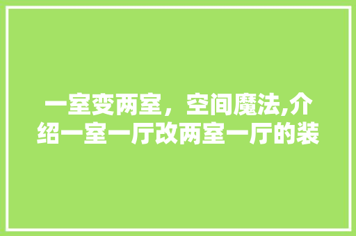 一室变两室，空间魔法,介绍一室一厅改两室一厅的装修之路 常见问题