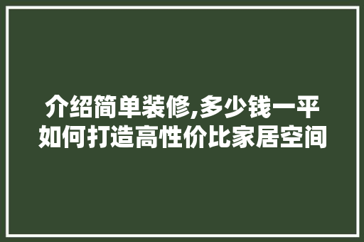 介绍简单装修,多少钱一平如何打造高性价比家居空间