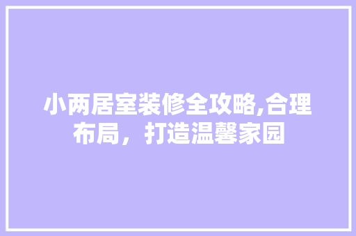 小两居室装修全攻略,合理布局，打造温馨家园 材料设备