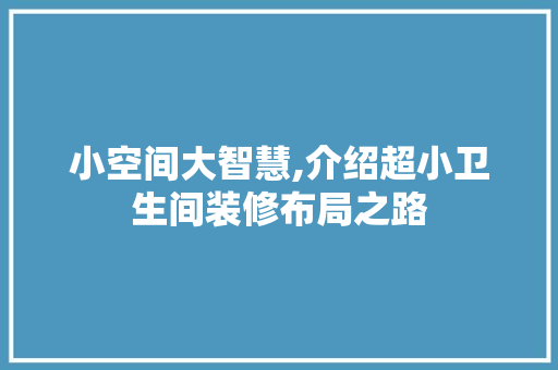 小空间大智慧,介绍超小卫生间装修布局之路