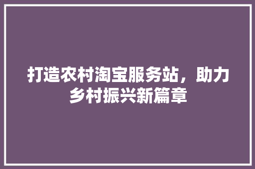 打造农村淘宝服务站，助力乡村振兴新篇章 建筑法规