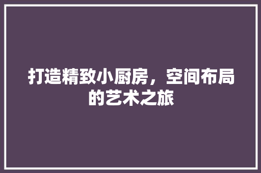 打造精致小厨房，空间布局的艺术之旅 常用设备