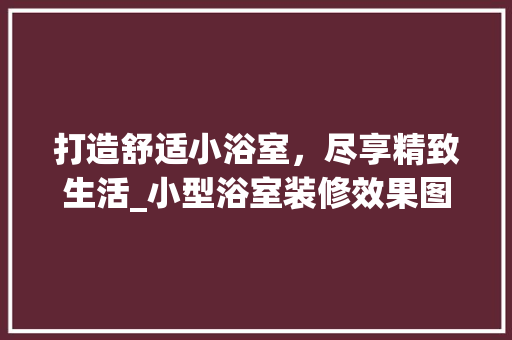 打造舒适小浴室，尽享精致生活_小型浴室装修效果图赏析 工艺流程
