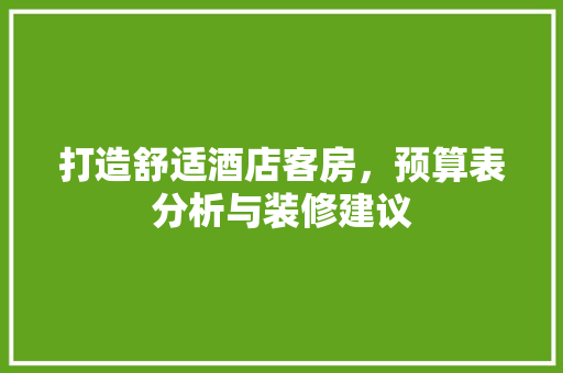 打造舒适酒店客房，预算表分析与装修建议 设计原则