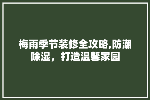 梅雨季节装修全攻略,防潮除湿，打造温馨家园