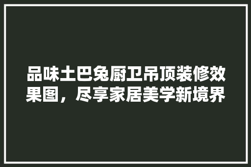 品味土巴兔厨卫吊顶装修效果图，尽享家居美学新境界 材料设备
