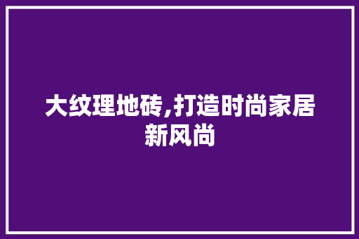 大纹理地砖,打造时尚家居新风尚 施工工艺