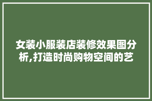 女装小服装店装修效果图分析,打造时尚购物空间的艺术之旅 施工管理
