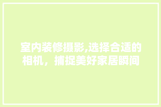 室内装修摄影,选择合适的相机，捕捉美好家居瞬间