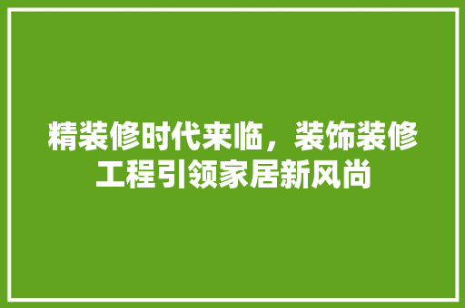精装修时代来临，装饰装修工程引领家居新风尚 工艺流程