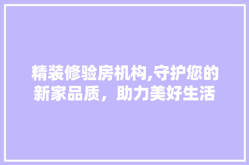 精装修验房机构,守护您的新家品质，助力美好生活 建筑设计