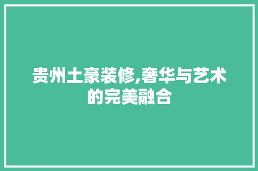 贵州土豪装修,奢华与艺术的完美融合