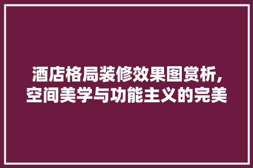 酒店格局装修效果图赏析,空间美学与功能主义的完美融合