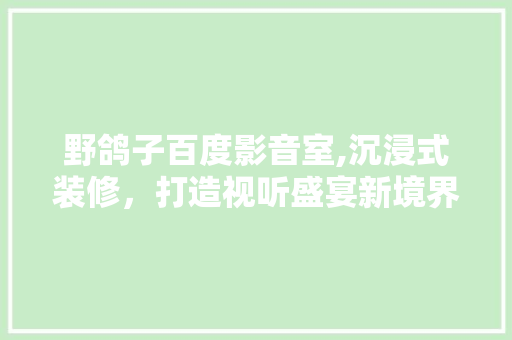 野鸽子百度影音室,沉浸式装修，打造视听盛宴新境界