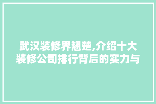 武汉装修界翘楚,介绍十大装修公司排行背后的实力与口碑 工艺流程
