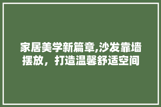 家居美学新篇章,沙发靠墙摆放，打造温馨舒适空间 施工技术