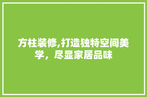 方柱装修,打造独特空间美学，尽显家居品味 施工管理