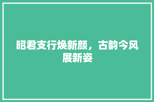 昭君支行焕新颜，古韵今风展新姿