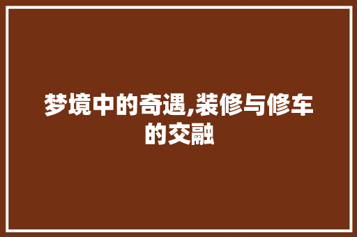 梦境中的奇遇,装修与修车的交融 工艺流程
