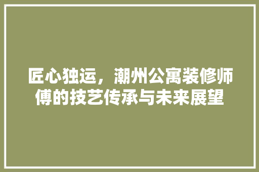 匠心独运，潮州公寓装修师傅的技艺传承与未来展望 常见问题