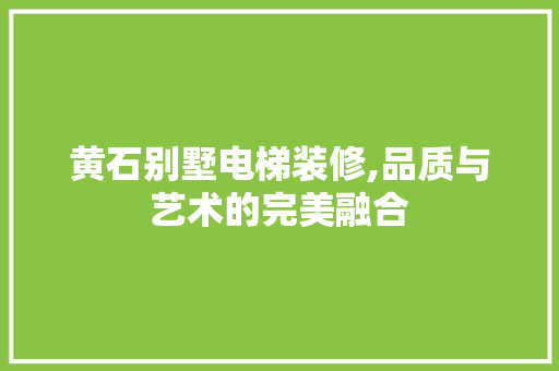 黄石别墅电梯装修,品质与艺术的完美融合 常见问题