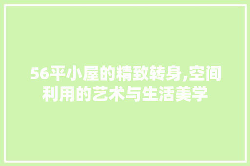 56平小屋的精致转身,空间利用的艺术与生活美学