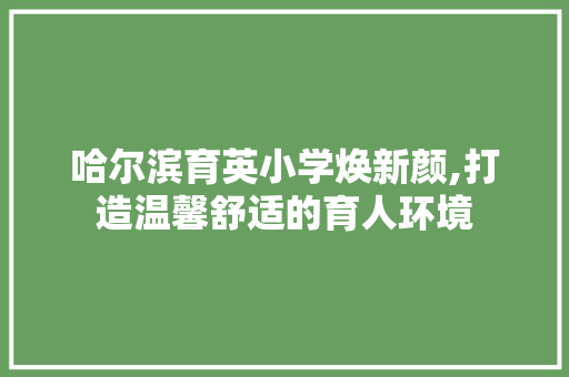 哈尔滨育英小学焕新颜,打造温馨舒适的育人环境 工艺流程