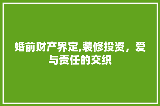 婚前财产界定,装修投资，爱与责任的交织