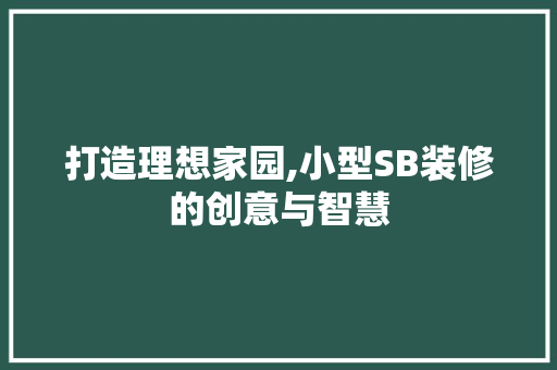 打造理想家园,小型SB装修的创意与智慧