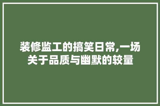 装修监工的搞笑日常,一场关于品质与幽默的较量