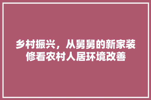 乡村振兴，从舅舅的新家装修看农村人居环境改善 施工技术