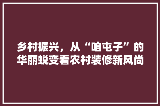 乡村振兴，从“咱屯子”的华丽蜕变看农村装修新风尚 知识问答