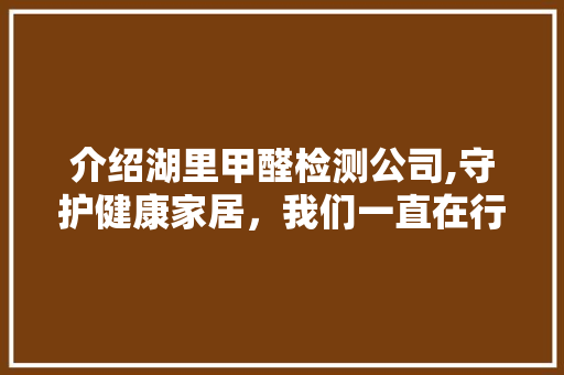 介绍湖里甲醛检测公司,守护健康家居，我们一直在行动