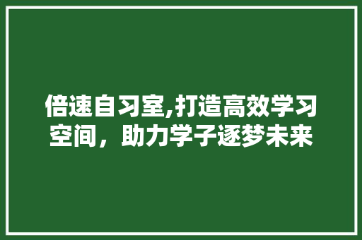 倍速自习室,打造高效学习空间，助力学子逐梦未来 施工工艺