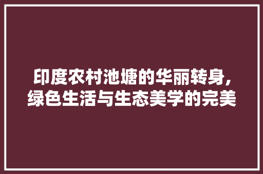 印度农村池塘的华丽转身,绿色生活与生态美学的完美融合