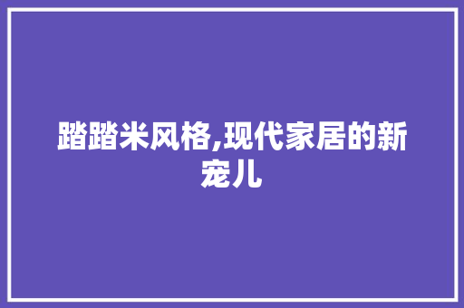 踏踏米风格,现代家居的新宠儿