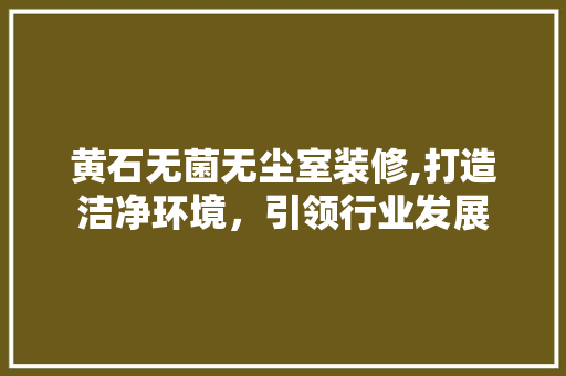 黄石无菌无尘室装修,打造洁净环境，引领行业发展
