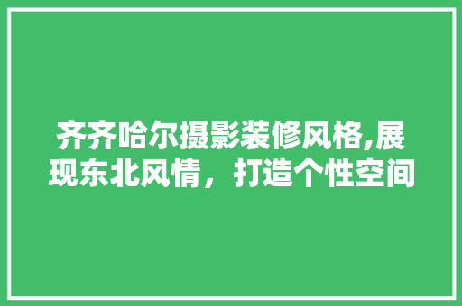 齐齐哈尔摄影装修风格,展现东北风情，打造个性空间