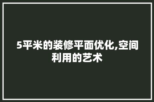 5平米的装修平面优化,空间利用的艺术