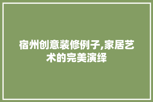 宿州创意装修例子,家居艺术的完美演绎