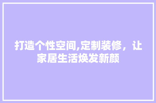 打造个性空间,定制装修，让家居生活焕发新颜 工艺流程