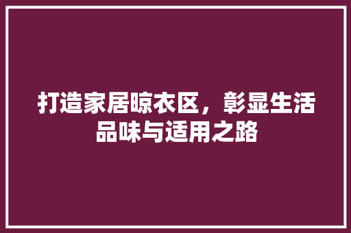 打造家居晾衣区，彰显生活品味与适用之路 设计原则